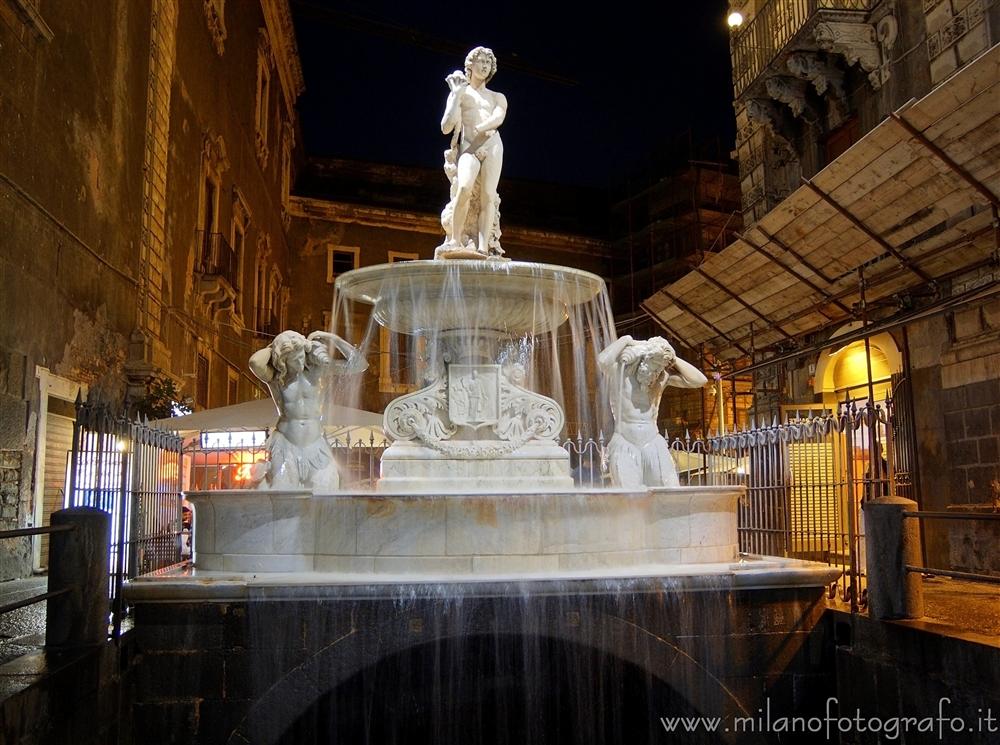 Catania (Italy) - Amenano Fountain by night